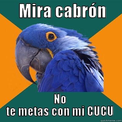       MIRA CABRÓN      NO TE METAS CON MI CUCU Paranoid Parrot