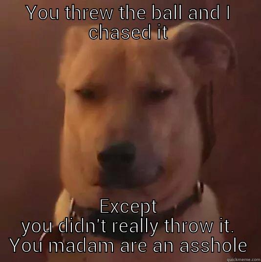 YOU THREW THE BALL AND I CHASED IT EXCEPT YOU DIDN'T REALLY THROW IT. YOU MADAM ARE AN ASSHOLE Misc