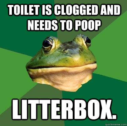 Toilet is clogged and needs to poop Litterbox.  Foul Bachelor Frog