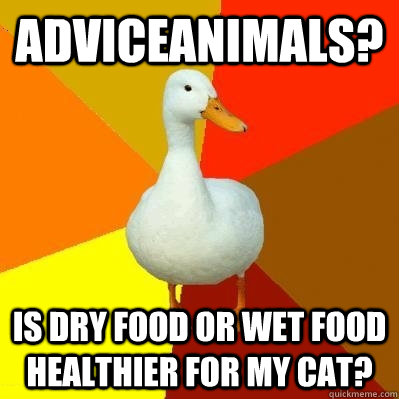 Adviceanimals? Is dry food or wet food healthier for my cat? - Adviceanimals? Is dry food or wet food healthier for my cat?  Tech Impaired Duck