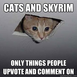 CATS AND SKYRIM ONLY THINGS PEOPLE 
UPVOTE AND COMMENT ON  Ceiling Cat