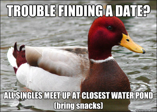 TROUBLE FINDING A DATE? ALL SINGLES MEET UP AT CLOSEST WATER POND
(bring snacks)  Malicious Advice Mallard