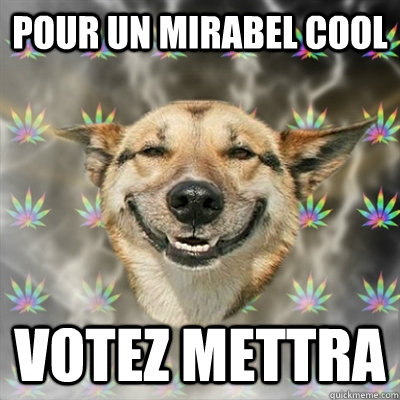 POUR UN MIRABEL COOL VOTEZ METTRA  Stoner Dog