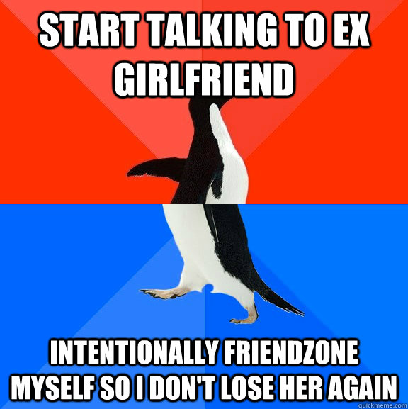 Start talking to ex girlfriend Intentionally friendzone myself so I don't lose her again  Socially Awesome Awkward Penguin