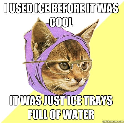 I used ice before it was cool it was just ice trays full of water  Hipster Kitty