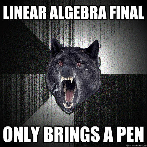 LINEAR ALGEBRA FINAL Only brings a pen  Insanity Wolf