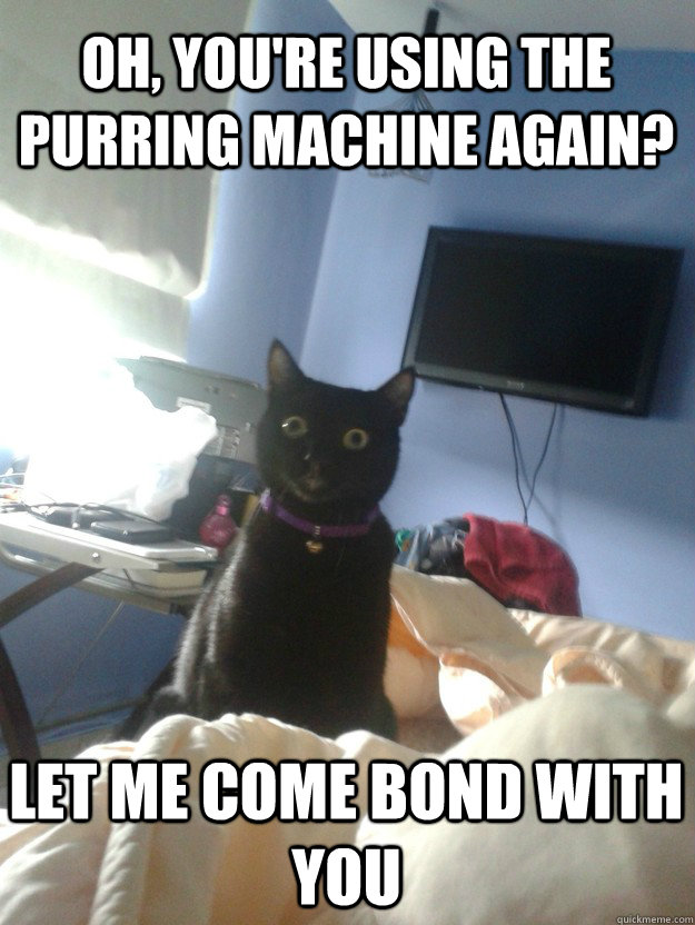 Oh, you're using the purring machine again? Let me come bond with you - Oh, you're using the purring machine again? Let me come bond with you  overly attached cat