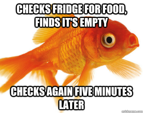 checks fridge for food, finds it's empty checks again five minutes later - checks fridge for food, finds it's empty checks again five minutes later  Forgetful Fish