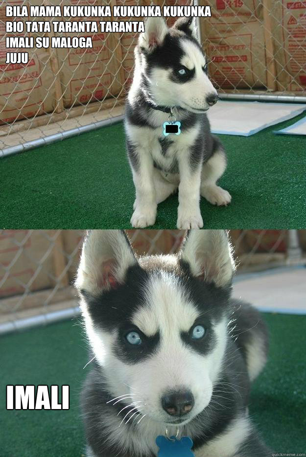 Bila mama Kukunka kukunka kukunka
Bio tata taranta taranta
Imali su maloga
juju IMALI  Insanity puppy