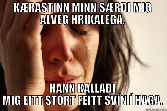 KÆRASTINN MINN SÆRÐI MIG ALVEG HRIKALEGA. HANN KALLAÐI MIG EITT STÓRT FEITT SVÍN Í HAGA. First World Problems
