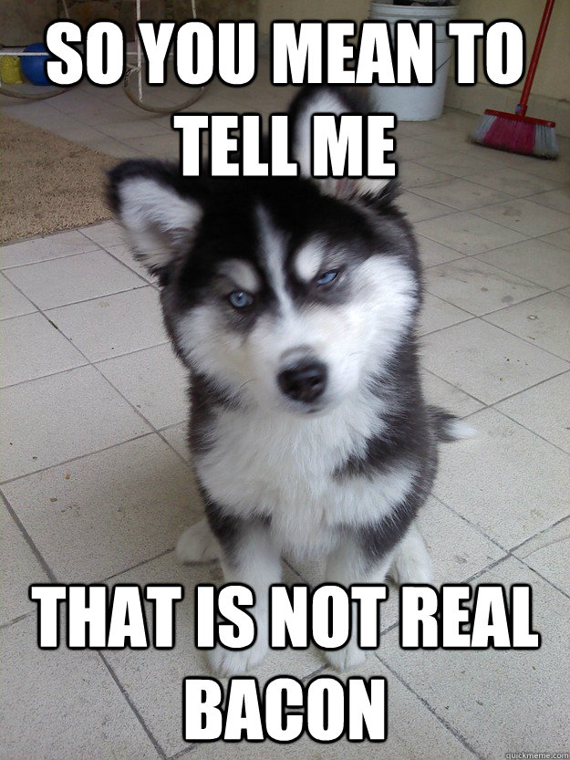 So you mean to tell me that is not real bacon  Skeptical Canine