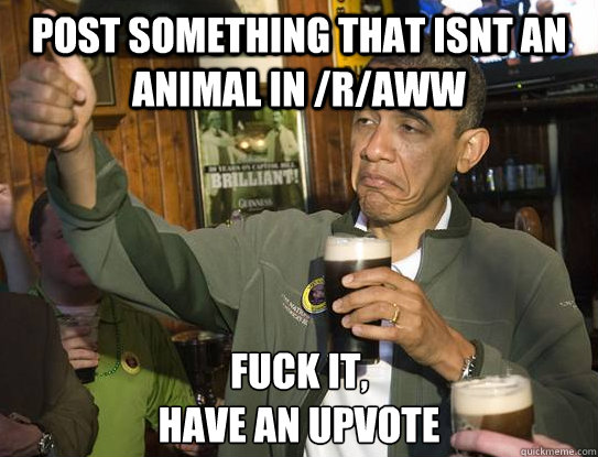Post something that isnt an animal in /r/aww Fuck it,
have an upvote  Upvoting Obama