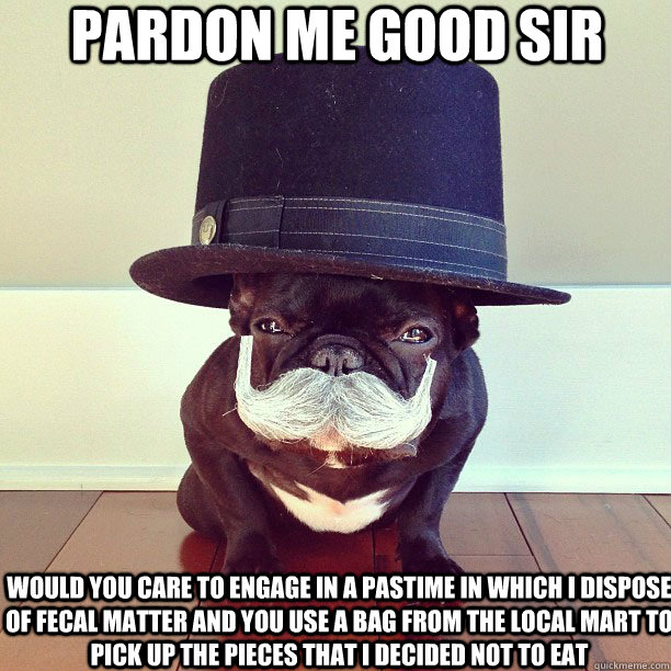 pardon me good sir would you care to engage in a pastime in which i dispose of fecal matter and you use a bag from the local mart to pick up the pieces that i decided not to eat - pardon me good sir would you care to engage in a pastime in which i dispose of fecal matter and you use a bag from the local mart to pick up the pieces that i decided not to eat  High Class Hound