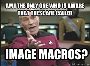 Am i the only one who is aware that these are called image macros?  Annoyed Picard