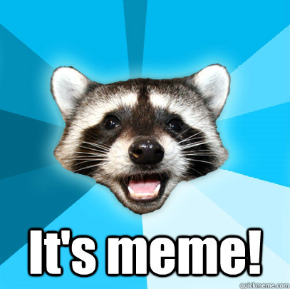  It's meme!  Lame Pun Coon
