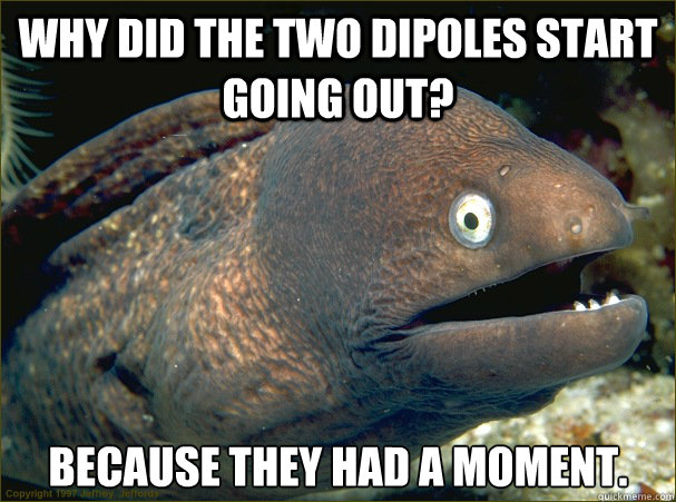 Why did the two dipoles start going out? Because they had a moment. - Why did the two dipoles start going out? Because they had a moment.  Bad Joke Eel