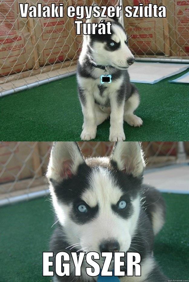 VALAKI EGYSZER SZIDTA TURÁT EGYSZER Insanity puppy