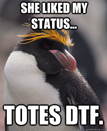 She liked my status... Totes DTF.  Socially Overconfident Penguin