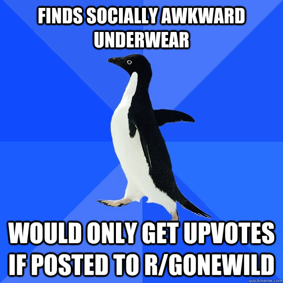 FINDS SOCIALLY AWKWARD UNDERWEAR WOULD ONLY GET UPVOTES IF POSTED TO r/gonewild - FINDS SOCIALLY AWKWARD UNDERWEAR WOULD ONLY GET UPVOTES IF POSTED TO r/gonewild  Socially Awkward Penguin