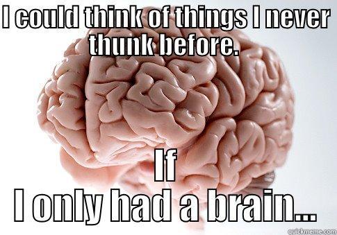 If I only had a brain - I COULD THINK OF THINGS I NEVER THUNK BEFORE.  IF I ONLY HAD A BRAIN... Scumbag Brain