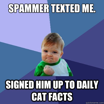 Spammer texted me. Signed him up to Daily Cat Facts  Success Kid