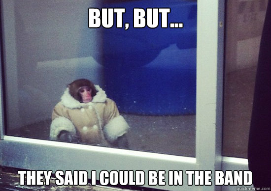 But, but... They said I could be in the band  Ikea Monkey