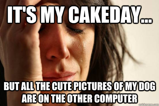 It's my cakeday... But all the cute pictures of my dog are on the other computer  First World Problems