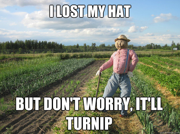 I lost my hat but don't worry, it'll turnip  - I lost my hat but don't worry, it'll turnip   Scarecrow