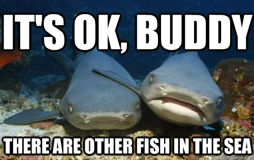 it's ok, buddy there are other fish in the sea  Compassionate Shark Friend