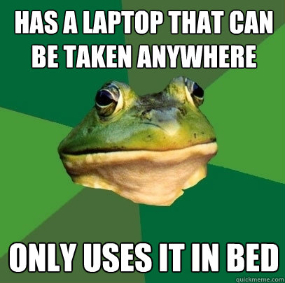 Has a laptop that can be taken anywhere Only uses it in bed  Foul Bachelor Frog
