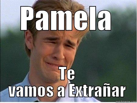 PAMELA TE VAMOS A EXTRAÑAR 1990s Problems