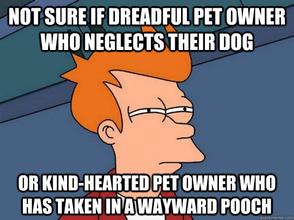 not sure if dreadful pet owner who neglects their dog or kind-hearted pet owner who has taken in a wayward pooch  Futurama Fry