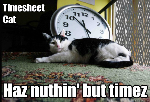 Timesheet
Cat Haz nuthin' but timez - Timesheet
Cat Haz nuthin' but timez  Timesheet Cat