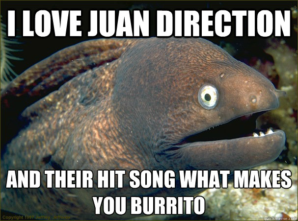 I love Juan Direction And their hit song what makes you burrito - I love Juan Direction And their hit song what makes you burrito  Bad Joke Eel
