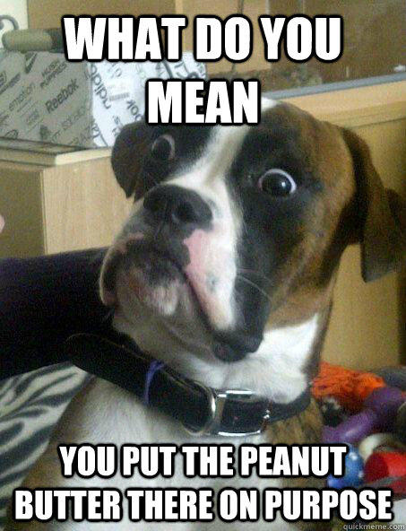 what do you mean you put the peanut butter there on purpose  Baffled boxer