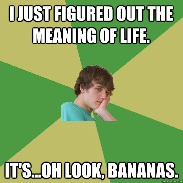 I Just figured out the meaning of life. It's...oh look, bananas.  ADHD Kid
