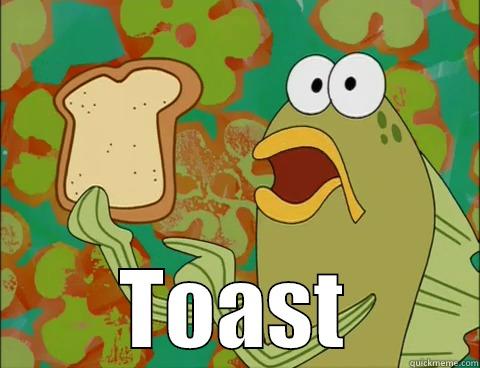  TOAST Misc