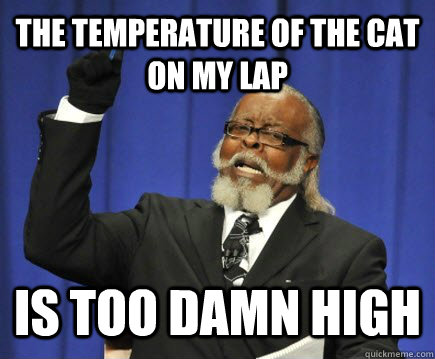 The temperature of the cat on my lap is too damn high  Too Damn High
