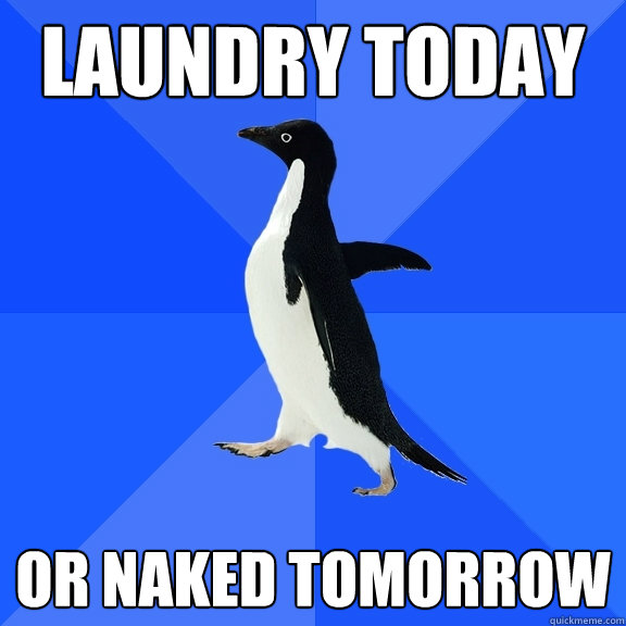 Laundry today or naked tomorrow  Socially Awkward Penguin