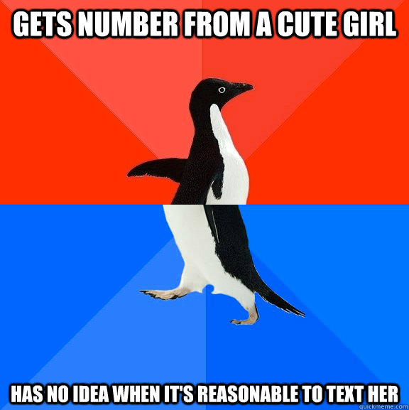 gets number from a cute girl has no idea when it's reasonable to text her  Socially Awesome Awkward Penguin