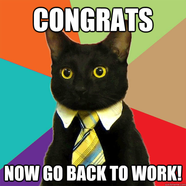 Congrats Now go back to work! - Congrats Now go back to work!  Business Cat