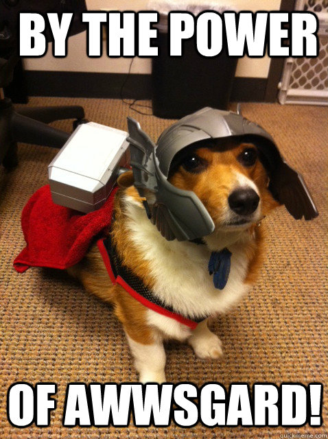 By the power Of Awwsgard!  Thorgi Dog of Thunder