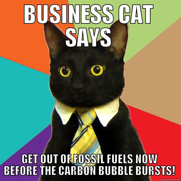 BUSINESS CAT SAYS GET OUT OF FOSSIL FUELS NOW BEFORE THE CARBON BUBBLE BURSTS! Business Cat
