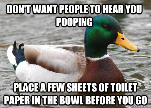don't want people to hear you pooping place a few sheets of toilet paper in the bowl before you go  Actual Advice Mallard