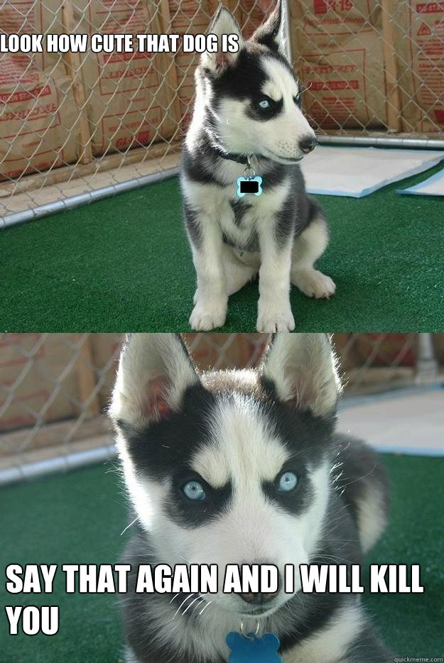 LOOK HOW CUTE THAT DOG IS



 
SAY THAT AGAIN AND I WILL KILL YOU  Insanity puppy