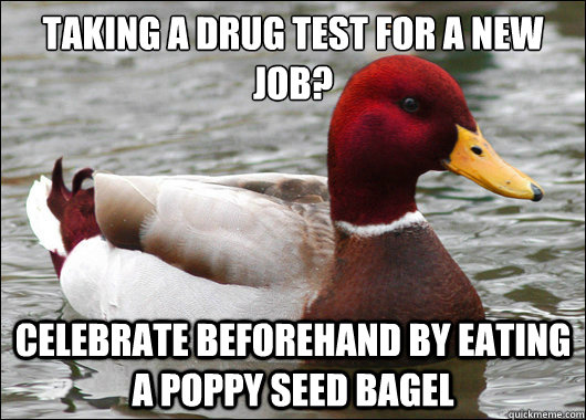 Taking a drug test for a new job?
 Celebrate beforehand by eating a poppy seed bagel  Malicious Advice Mallard