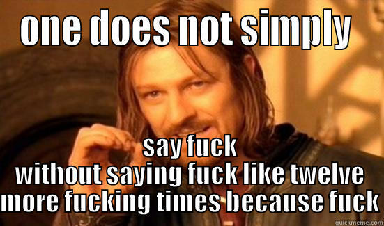 ONE DOES NOT SIMPLY  SAY FUCK WITHOUT SAYING FUCK LIKE TWELVE MORE FUCKING TIMES BECAUSE FUCK Boromir
