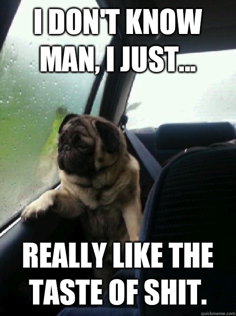 I don't know man, I just... Really like the taste of shit.  Introspective Pug