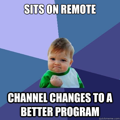 Sits on Remote channel changes to a better program  Success Kid