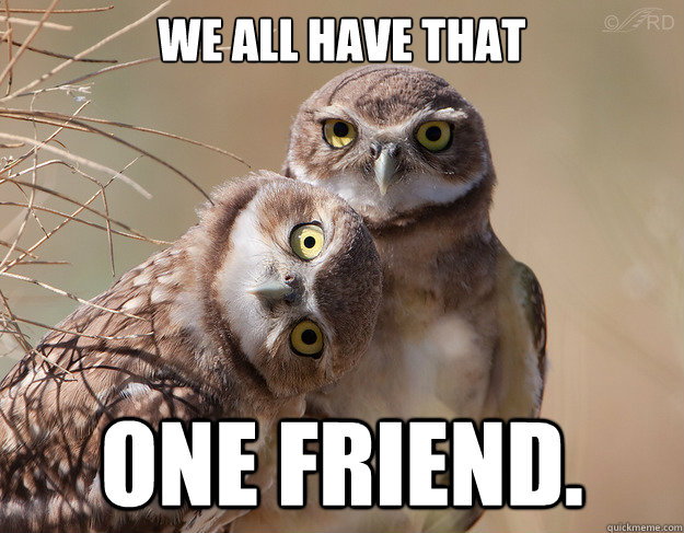 We all have that one friend. - We all have that one friend.  Confused Owl